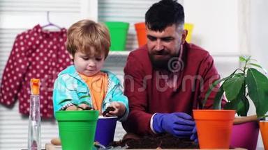 父子俩用彩色花盆种花。 长胡子的人和一个小男孩在花盆里种幼苗。 家庭概念